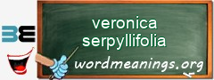 WordMeaning blackboard for veronica serpyllifolia